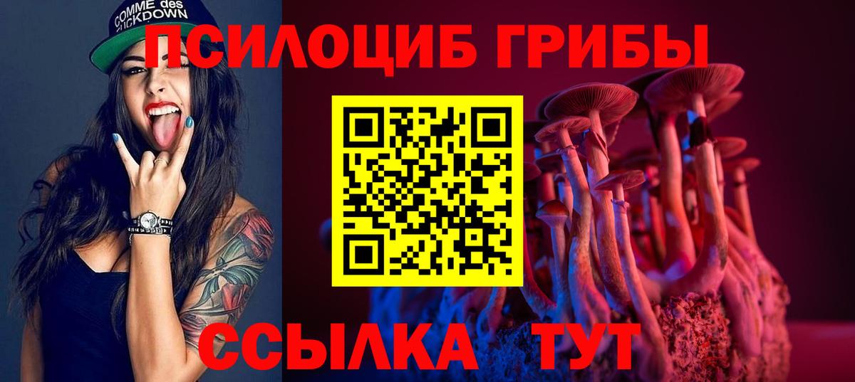 Галлюциногенные грибы мицелий  Вход с VPN  Гусев 